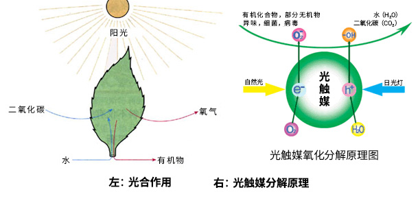 光触媒作用原理