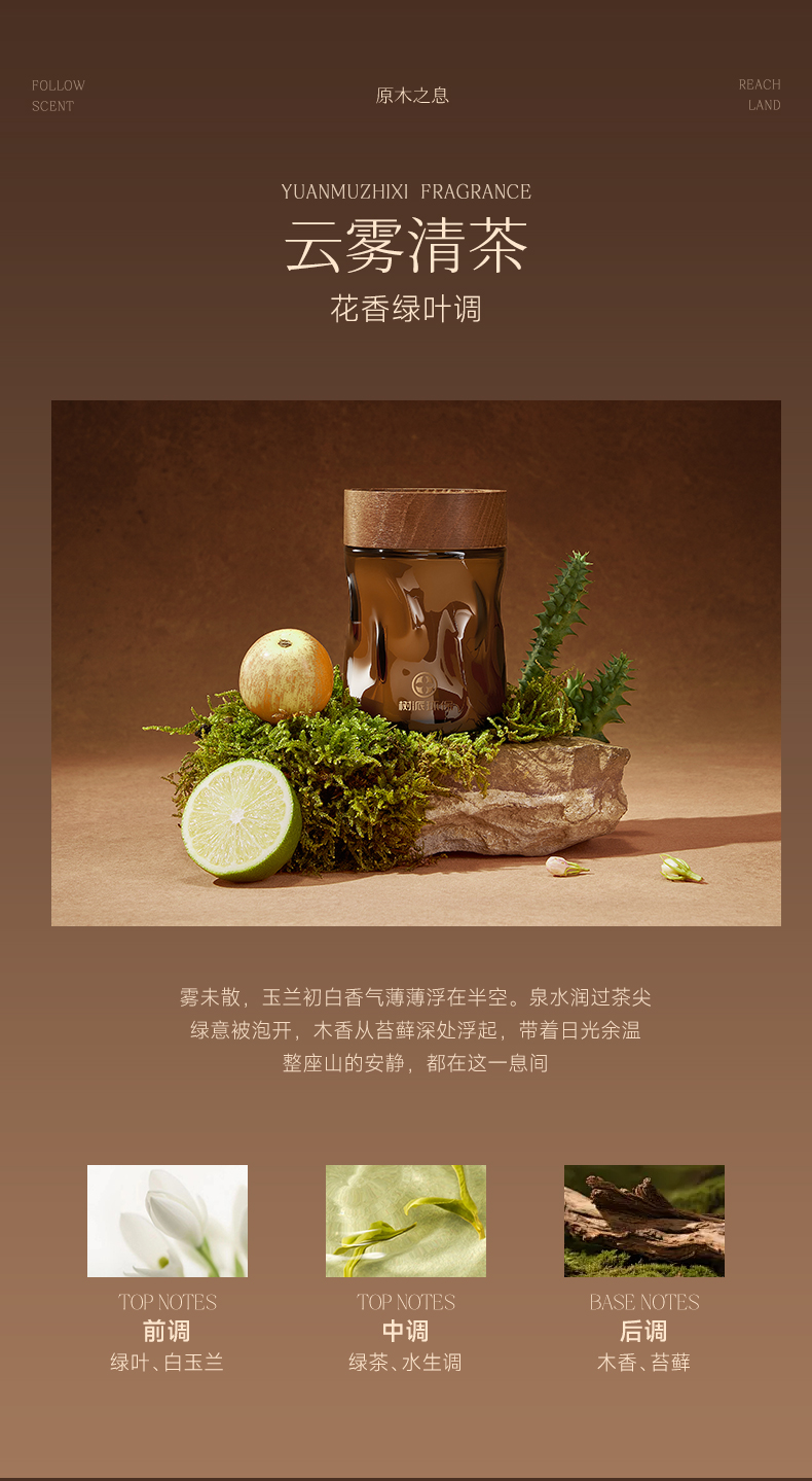 树派车载除醛香膏-云雾清茶香型
