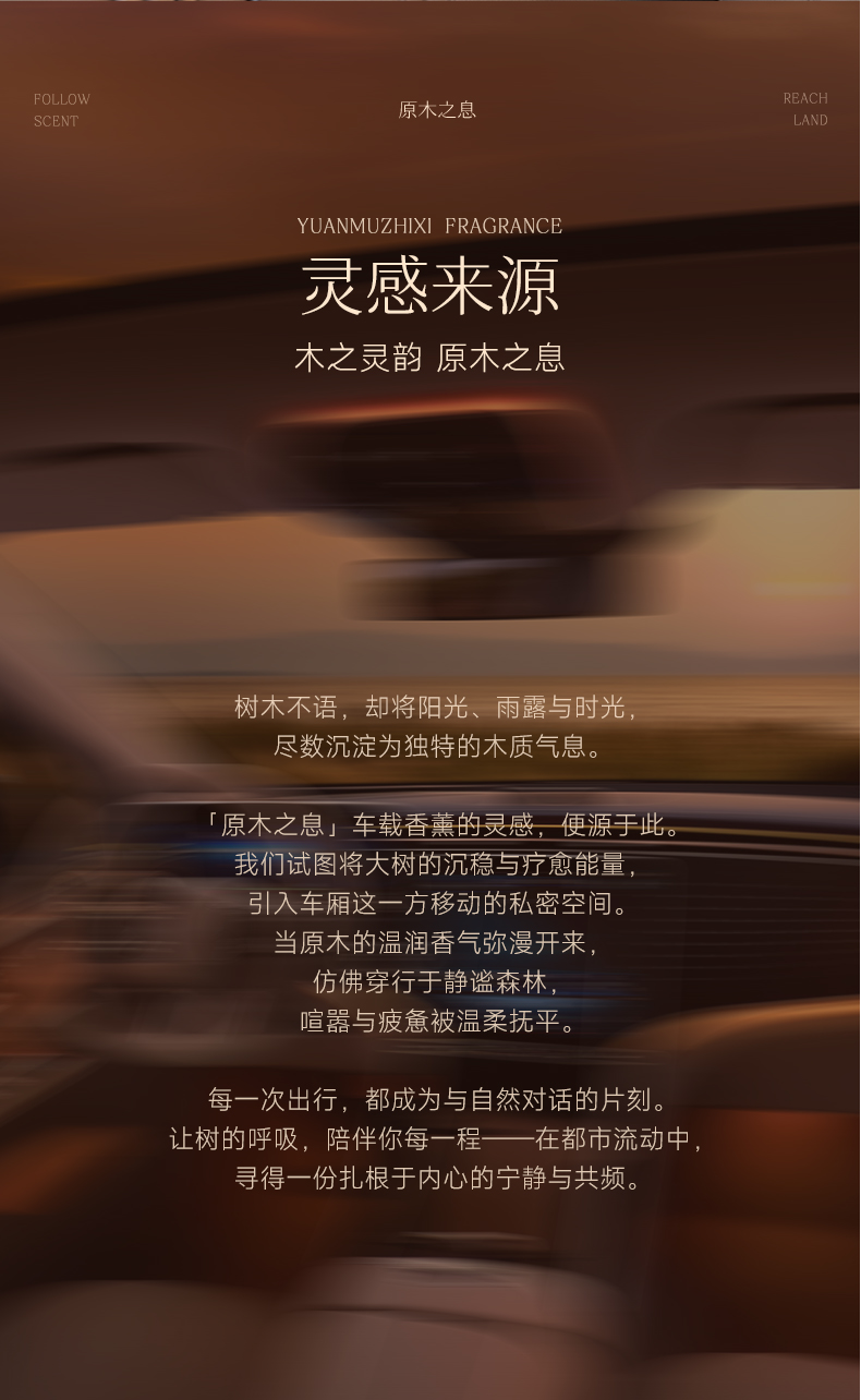 树派车载除醛香膏-原木之息车载香薰灵感来源